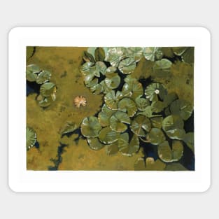 Lilypads Sticker